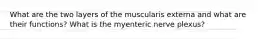 What are the two layers of the muscularis externa and what are their functions? What is the myenteric nerve plexus?