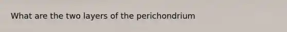 What are the two layers of the perichondrium