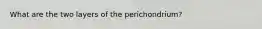 What are the two layers of the perichondrium?