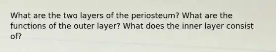 What are the two layers of the periosteum? What are the functions of the outer layer? What does the inner layer consist of?