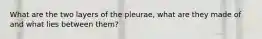 What are the two layers of the pleurae, what are they made of and what lies between them?