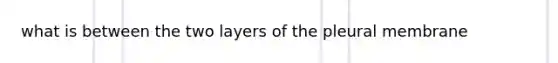 what is between the two layers of the pleural membrane