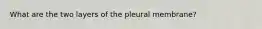 What are the two layers of the pleural membrane?