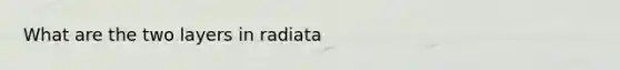 What are the two layers in radiata