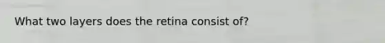 What two layers does the retina consist of?