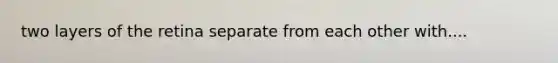 two layers of the retina separate from each other with....