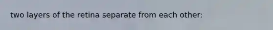 two layers of the retina separate from each other: