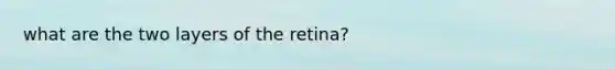 what are the two layers of the retina?