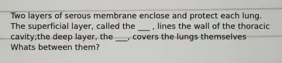 Two layers of serous membrane enclose and protect each lung. The superficial layer, called the ___ , lines the wall of the thoracic cavity;the deep layer, the ___, covers the lungs themselves Whats between them?