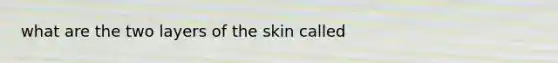 what are the two layers of the skin called