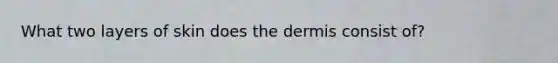 What two layers of skin does the dermis consist of?