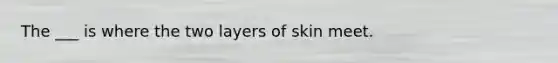 The ___ is where the two layers of skin meet.