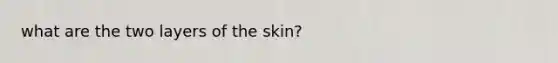 what are the two layers of the skin?