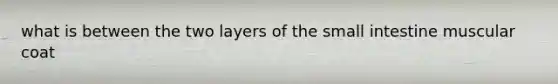 what is between the two layers of the small intestine muscular coat