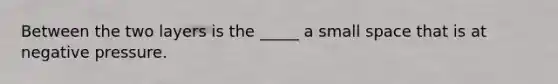Between the two layers is the _____ a small space that is at negative pressure.