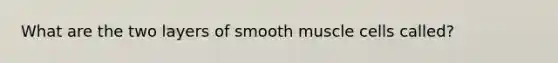 What are the two layers of smooth muscle cells called?