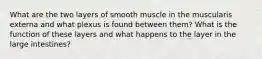 What are the two layers of smooth muscle in the muscularis externa and what plexus is found between them? What is the function of these layers and what happens to the layer in the large intestines?