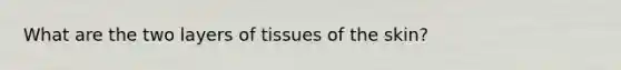 What are the two layers of tissues of the skin?