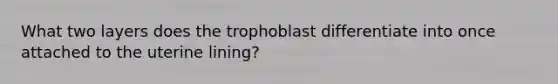 What two layers does the trophoblast differentiate into once attached to the uterine lining?