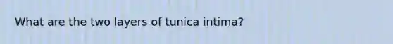 What are the two layers of tunica intima?