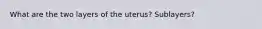 What are the two layers of the uterus? Sublayers?