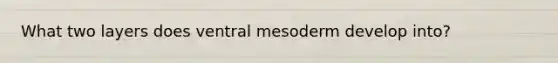 What two layers does ventral mesoderm develop into?