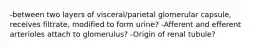 -between two layers of visceral/parietal glomerular capsule, receives filtrate, modified to form urine? -Afferent and efferent arterioles attach to glomerulus? -Origin of renal tubule?