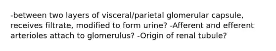 -between two layers of visceral/parietal glomerular capsule, receives filtrate, modified to form urine? -Afferent and efferent arterioles attach to glomerulus? -Origin of renal tubule?