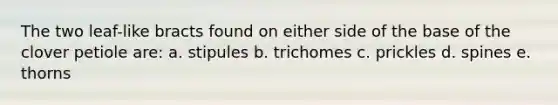 The two leaf-like bracts found on either side of the base of the clover petiole are: a. stipules b. trichomes c. prickles d. spines e. thorns