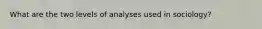 What are the two levels of analyses used in sociology?