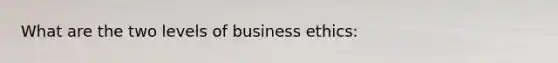 What are the two levels of business ethics: