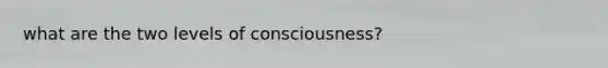 what are the two levels of consciousness?