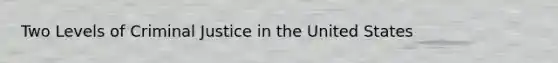 Two Levels of Criminal Justice in the United States
