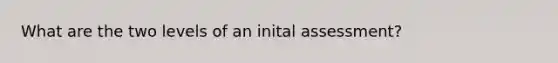 What are the two levels of an inital assessment?