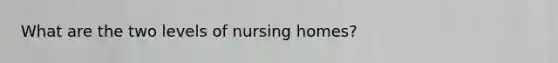 What are the two levels of nursing homes?