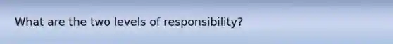 What are the two levels of responsibility?