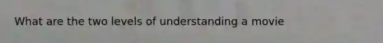 What are the two levels of understanding a movie