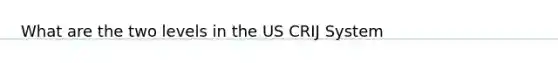 What are the two levels in the US CRIJ System