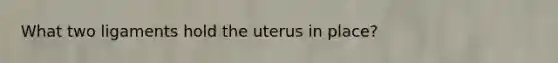 What two ligaments hold the uterus in place?