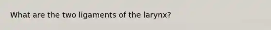 What are the two ligaments of the larynx?