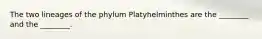 The two lineages of the phylum Platyhelminthes are the ________ and the ________.