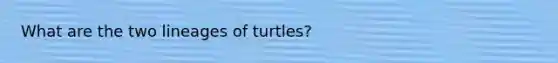 What are the two lineages of turtles?