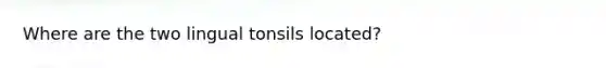 Where are the two lingual tonsils located?