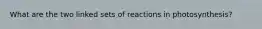 What are the two linked sets of reactions in photosynthesis?