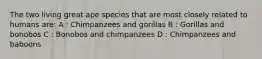 The two living great ape species that are most closely related to humans are: A : Chimpanzees and gorillas B : Gorillas and bonobos C : Bonobos and chimpanzees D : Chimpanzees and baboons