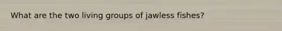 What are the two living groups of jawless fishes?