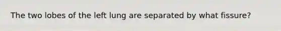 The two lobes of the left lung are separated by what fissure?