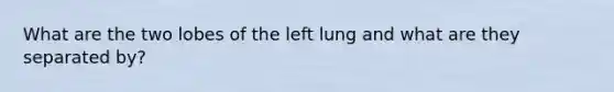 What are the two lobes of the left lung and what are they separated by?