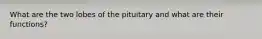 What are the two lobes of the pituitary and what are their functions?