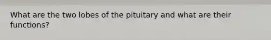 What are the two lobes of the pituitary and what are their functions?